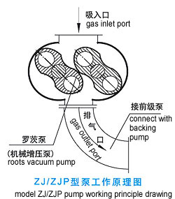ZJ_ձ